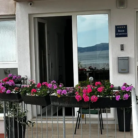 Luxury Apartment